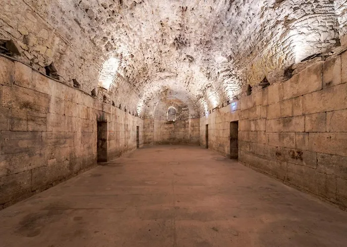 Vjera - Late Check In * Split